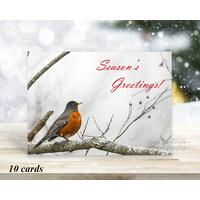 Nature aesthetic Christmas cards with an American Robin in the snow and sold exclusively by Cove Creek Photography.